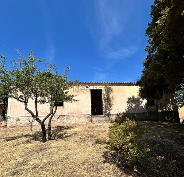 esavano in vendita ad Olbia in zona Berchiddeddu