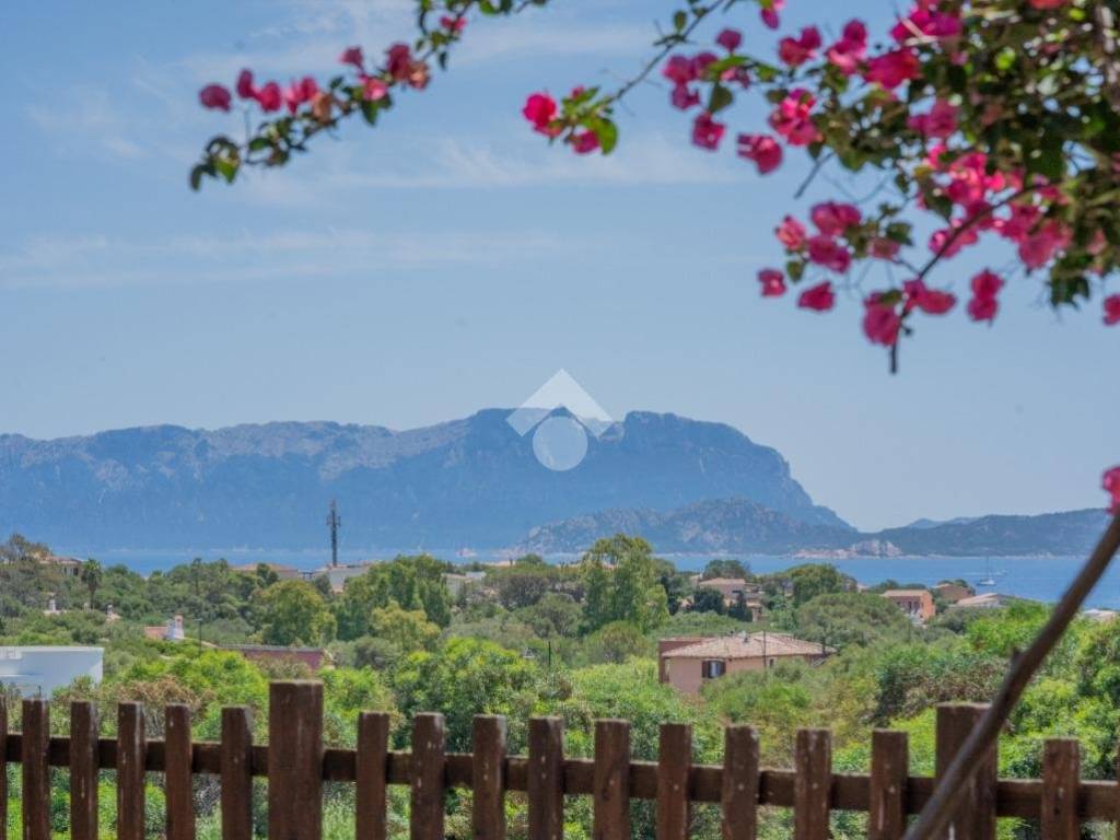 appartamento in vendita ad Olbia in zona Pittulongu