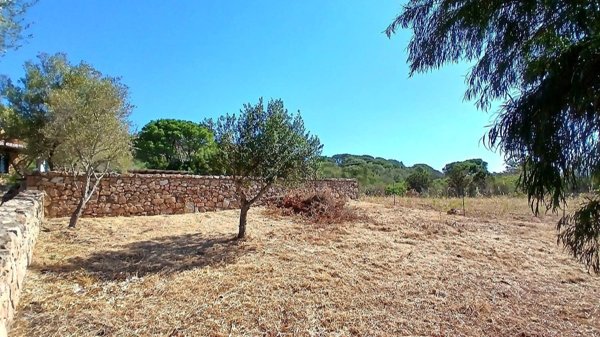 terreno agricolo in vendita ad Olbia in zona Porto Istana