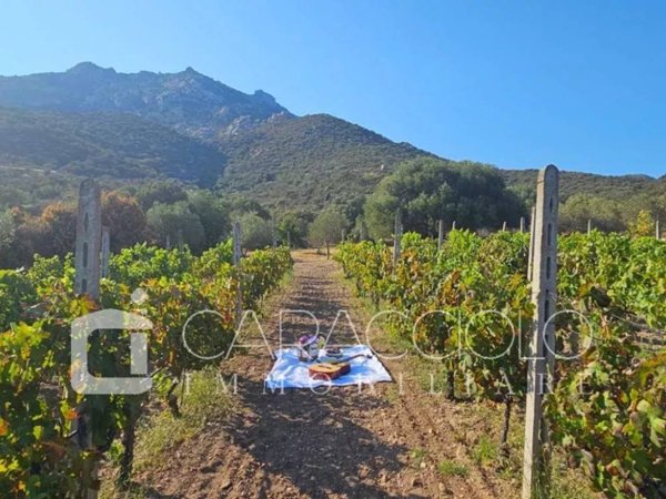 casa indipendente in vendita ad Olbia in zona Cugnana