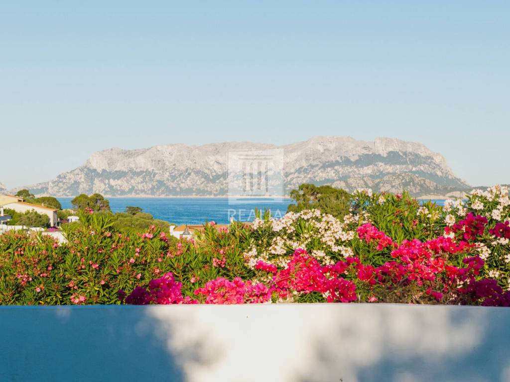 casa indipendente in vendita ad Olbia in zona Pittulongu
