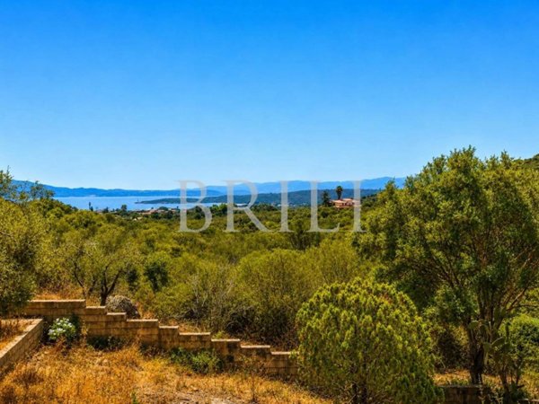 casa indipendente in vendita ad Olbia in zona Pittulongu