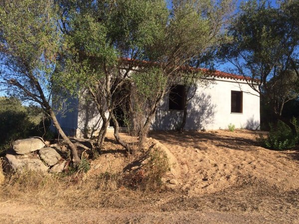 appartamento in vendita ad Olbia