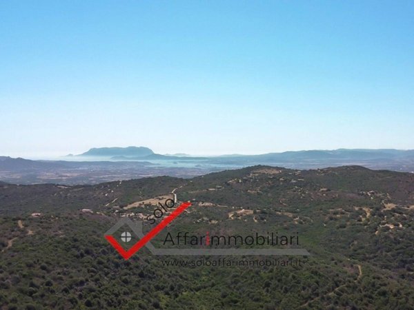 terreno agricolo in vendita ad Olbia