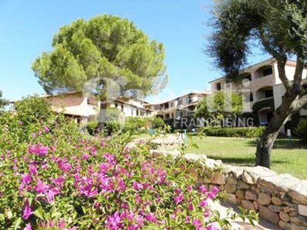 multiproprieta in vendita ad Olbia in zona Porto Rotondo