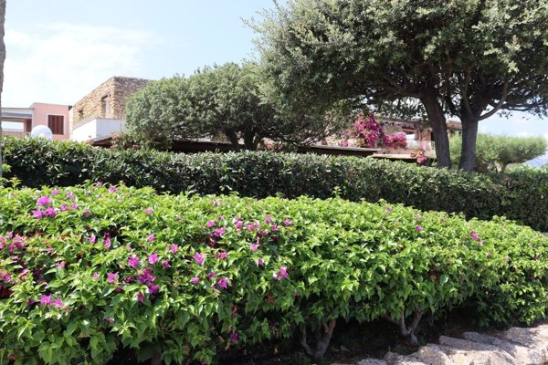 appartamento in vendita ad Olbia in zona Porto Rotondo