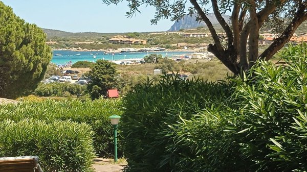 casa indipendente in vendita ad Olbia in zona Golfo di Marinella