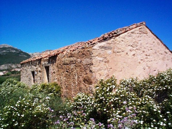 casa indipendente in vendita ad Olbia in zona Cugnana