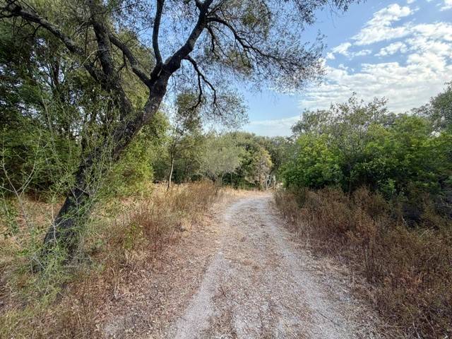 terreno agricolo in vendita ad Olbia in zona Putzolu