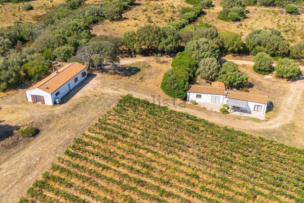 esavano in vendita ad Olbia