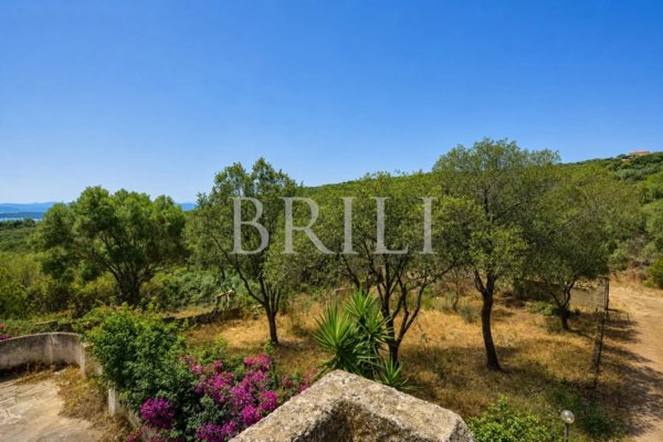 casa indipendente in vendita ad Olbia in zona Pittulongu