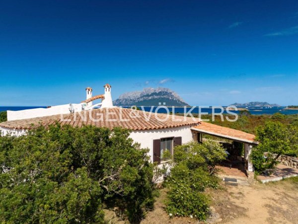 casa indipendente in vendita ad Olbia in zona Porto Istana