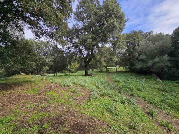 terreno in vendita ad Olbia in zona Berchiddeddu