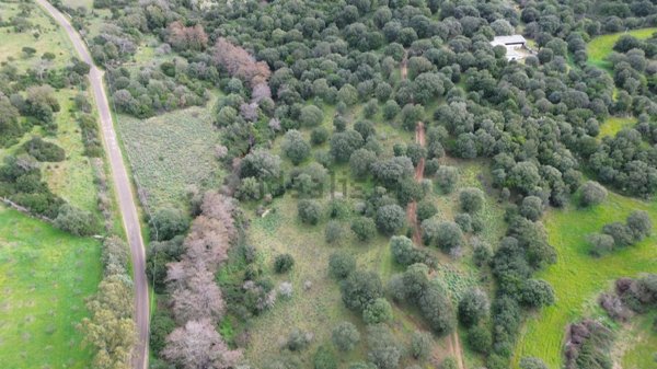 terreno in vendita ad Olbia in zona Berchiddeddu