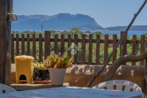 appartamento in vendita ad Olbia in zona Pittulongu