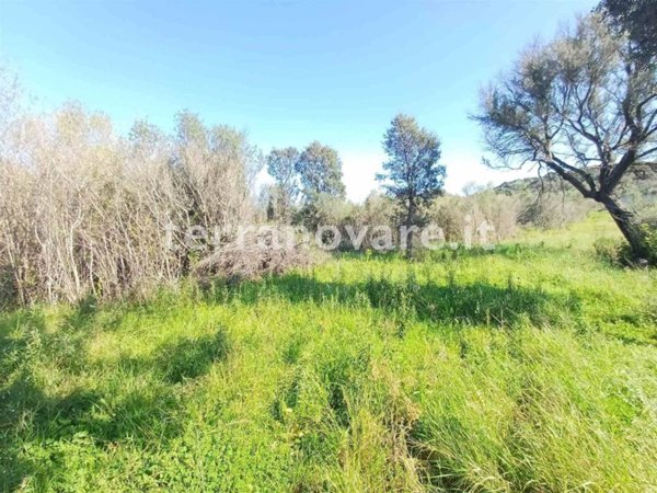 terreno agricolo in vendita ad Olbia