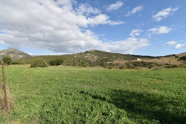 terreno in vendita ad Olbia