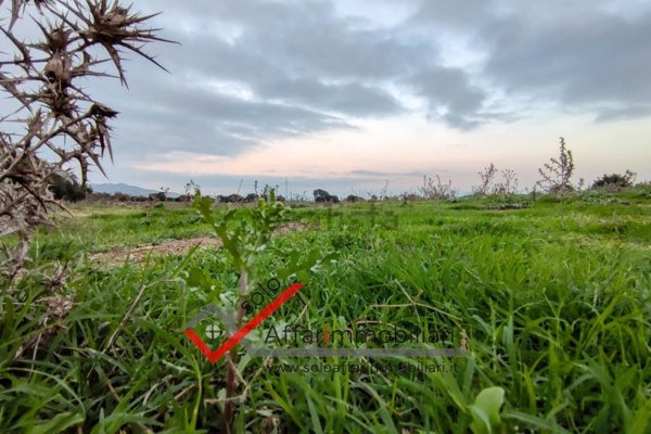terreno in vendita ad Olbia in zona Santa Mariedda