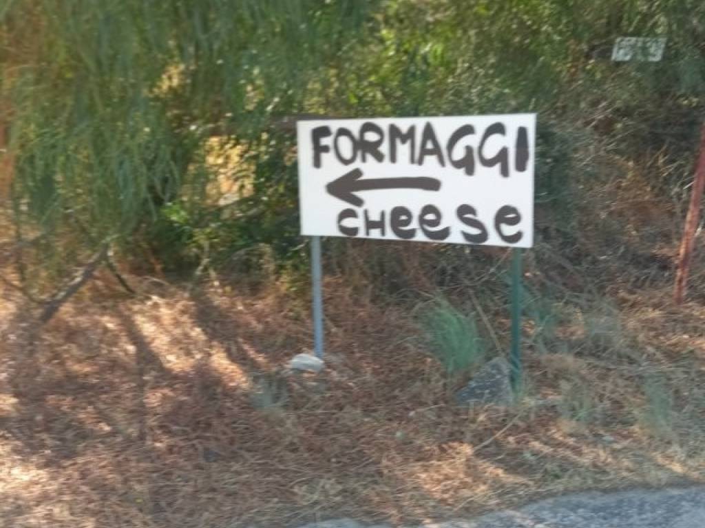 terreno in vendita ad Olbia