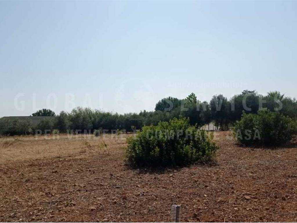 terreno agricolo in vendita ad Olmedo