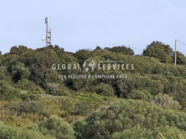 terreno edificabile in vendita ad Olmedo