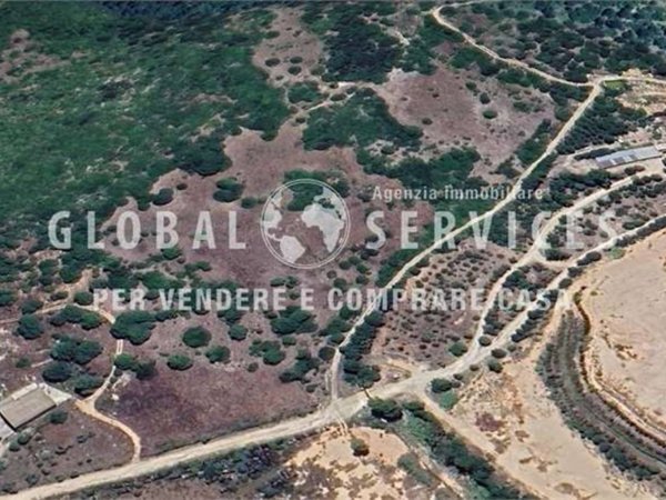 negozio in vendita ad Olmedo