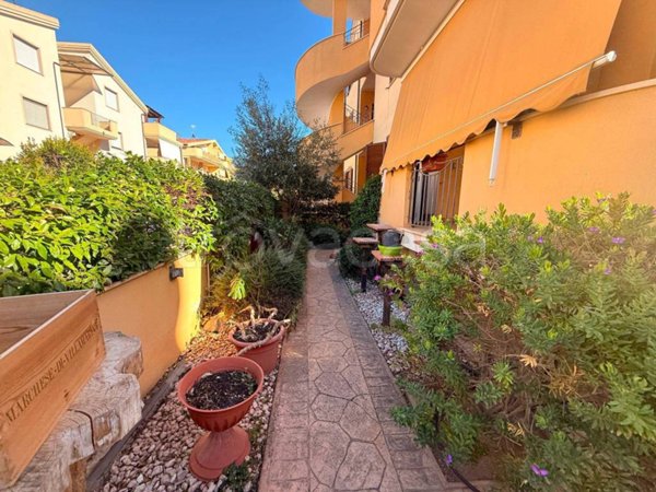 immagine annuncio 0 di 1