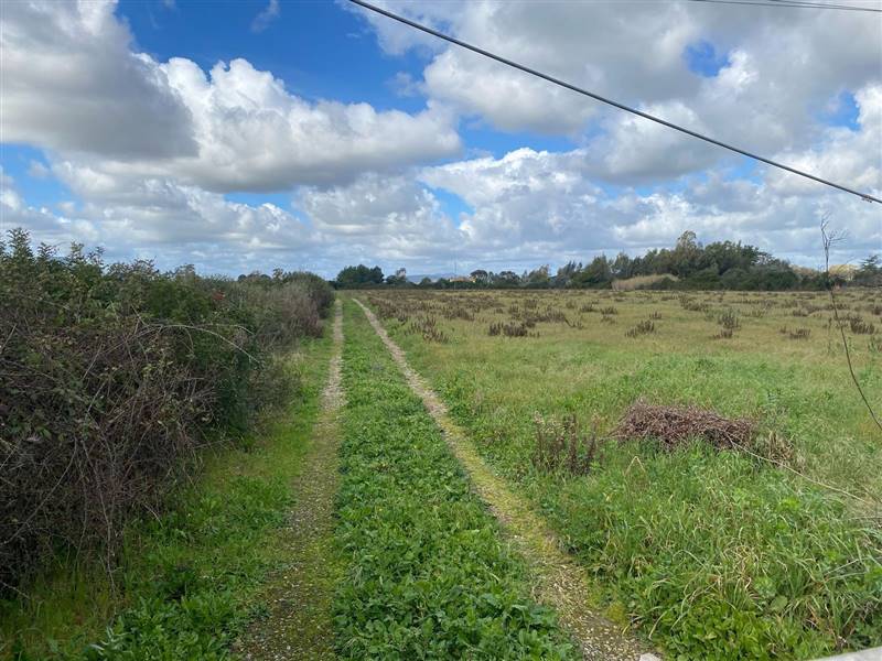 terreno agricolo in vendita ad Olmedo
