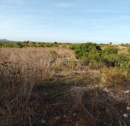 casa indipendente in vendita ad Olmedo
