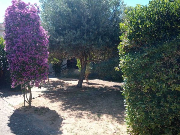 casa indipendente in vendita ad Olmedo