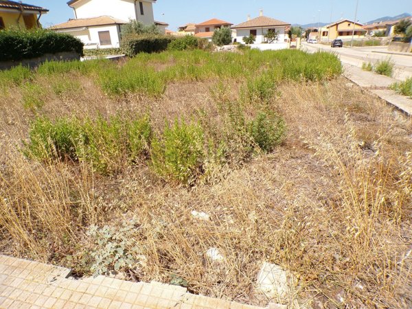 casa indipendente in vendita ad Olmedo