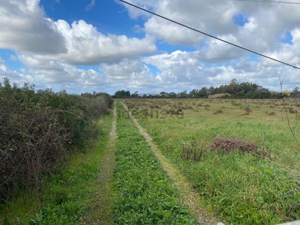 terreno in vendita ad Olmedo