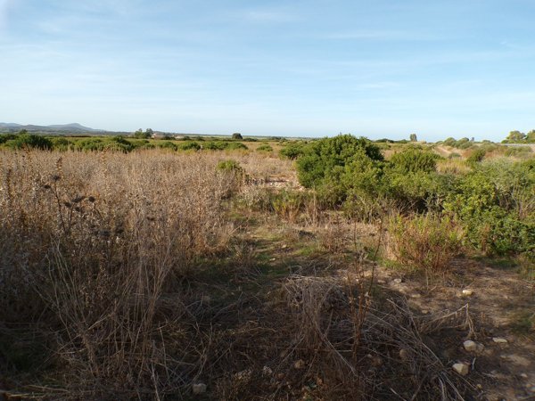 terreno in vendita ad Olmedo