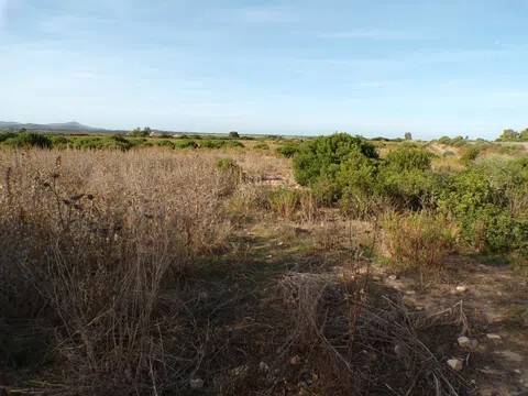 terreno in vendita ad Olmedo