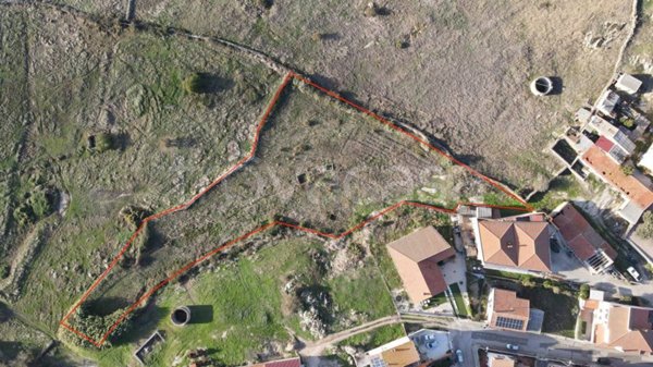 terreno agricolo in vendita ad Oschiri