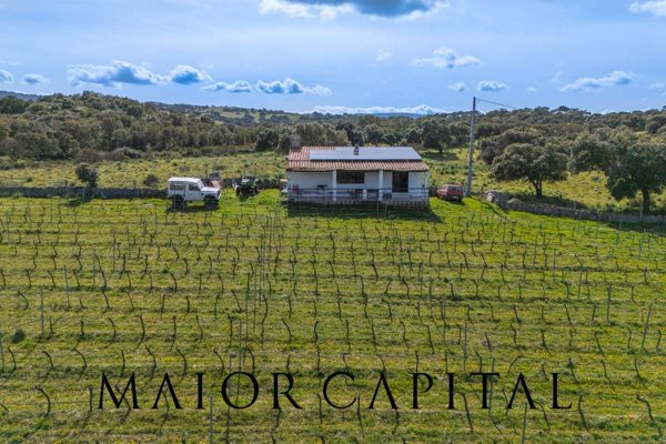 casale in vendita ad Oschiri