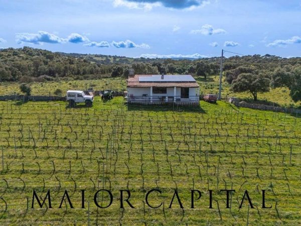 casale in vendita ad Oschiri