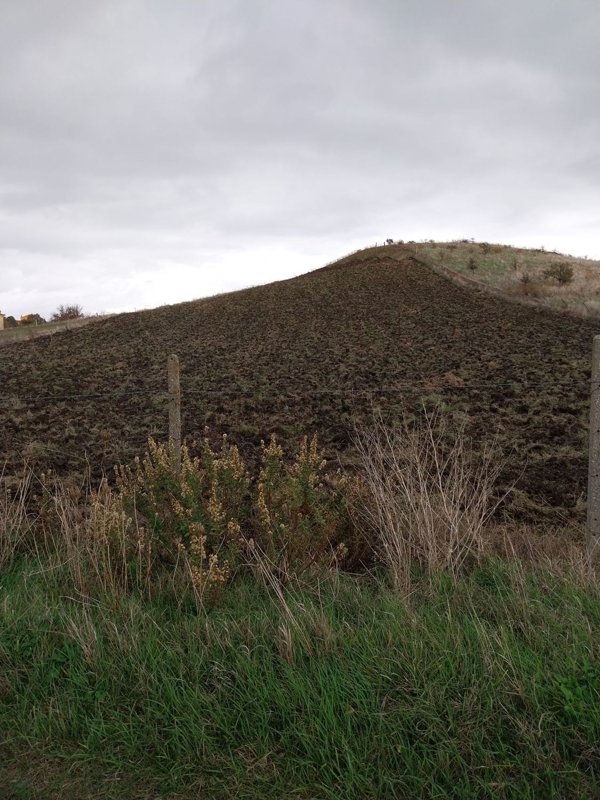 terreno agricolo in vendita ad Oschiri