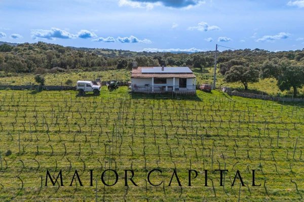 casa indipendente in vendita ad Oschiri