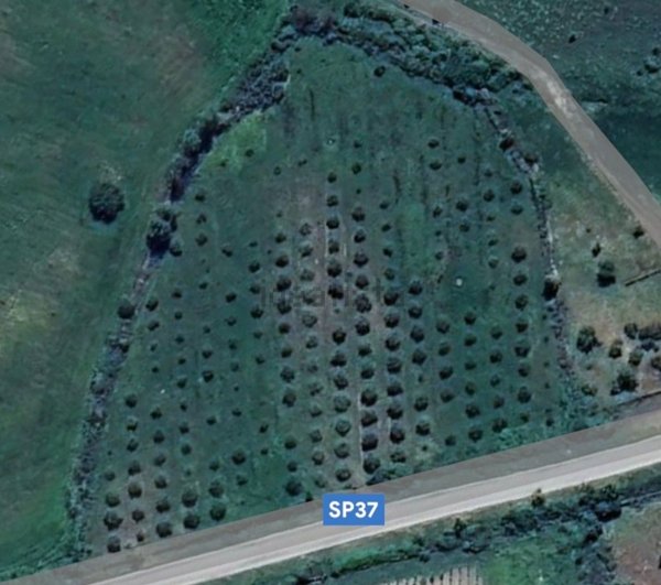 terreno agricolo in vendita ad Oschiri