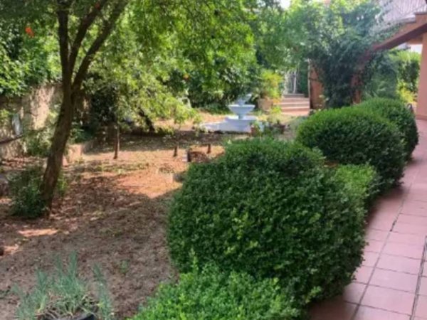 casa indipendente in vendita ad Oschiri