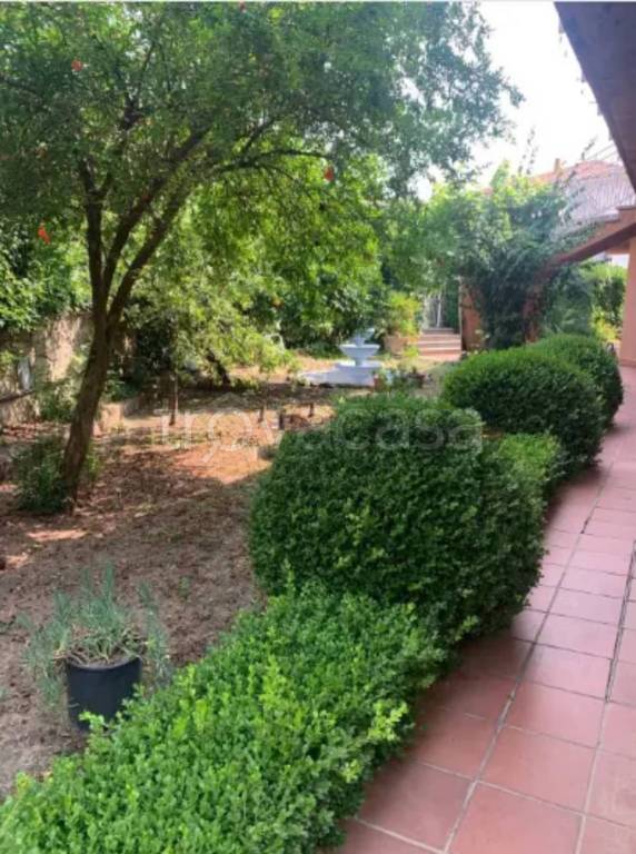 casa indipendente in vendita ad Oschiri