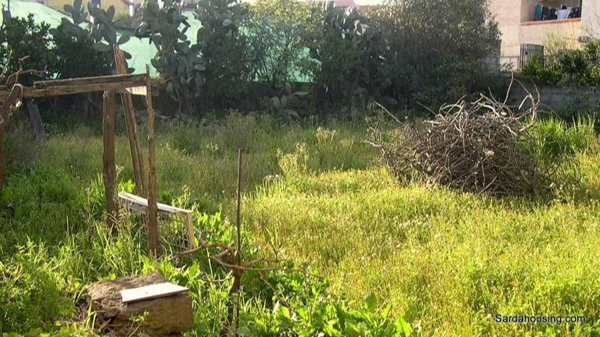 terreno edificabile in vendita ad Oschiri