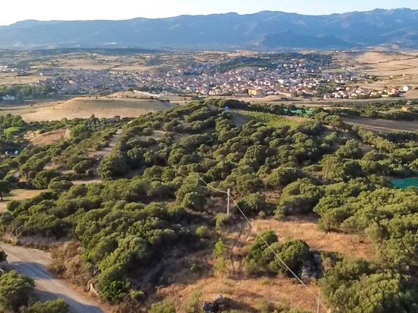 terreno agricolo in vendita ad Oschiri