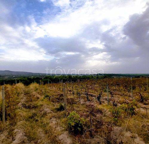 terreno agricolo in vendita ad Osilo