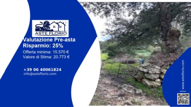 terreno agricolo in vendita ad Osilo