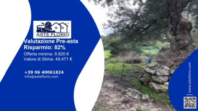 terreno agricolo in vendita ad Osilo
