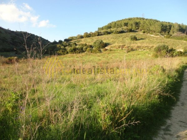 terreno agricolo in vendita ad Osilo