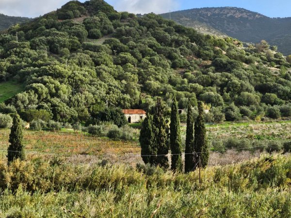 rudere in vendita ad Osilo in zona San Lorenzo