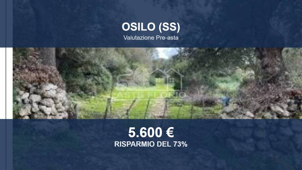 terreno agricolo in vendita ad Osilo